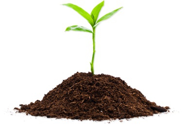 Community Composting with New Orleans Public Library/ Compostaje en New Orleans Public Library